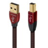 AudioQuest USB Cinnamon